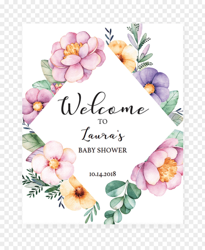 Blush Peony Baby Shower Watercolor Painting Picture Frames PNG