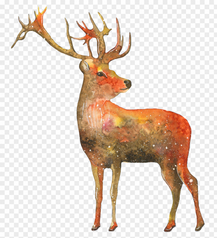 Deer Reindeer Gift Art PNG