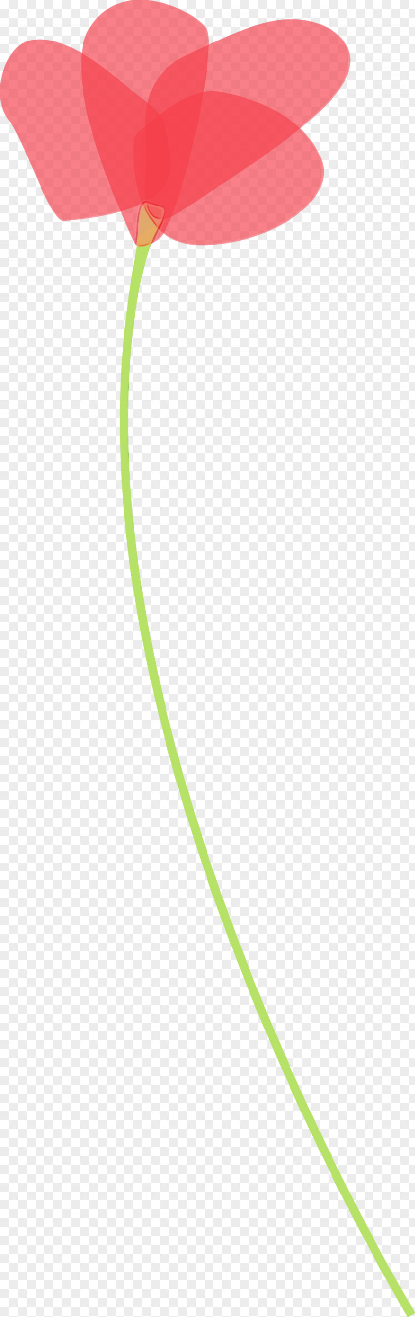 Green Line Plant PNG