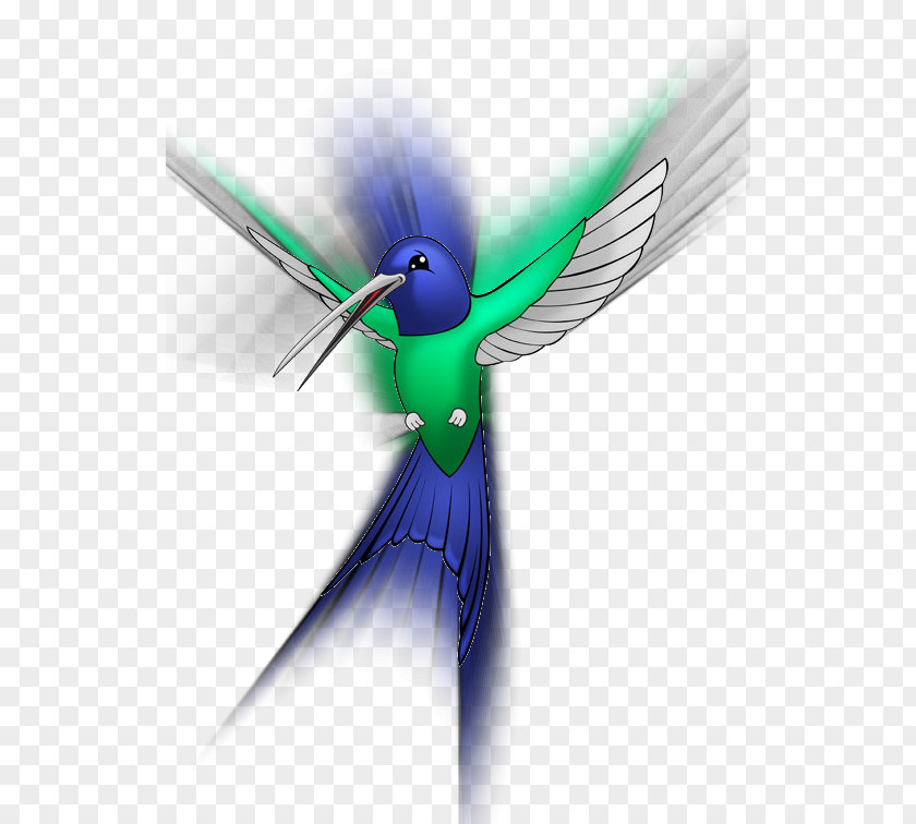 Insect Hummingbird Wing Desktop Wallpaper Beak PNG