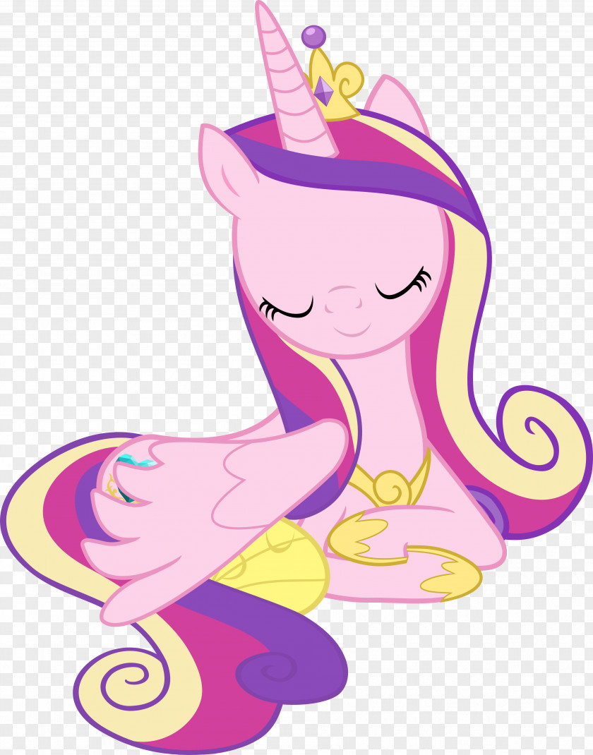 Princess Cadance Twilight Sparkle Pony Rainbow Dash Pinkie Pie PNG