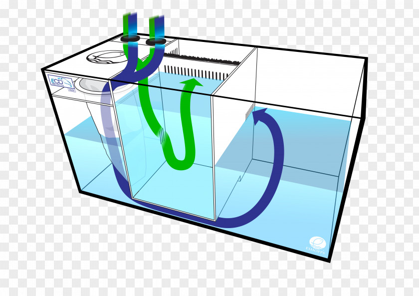 Scuba Drawing Refugium Sump Aquarium Filters Reef PNG