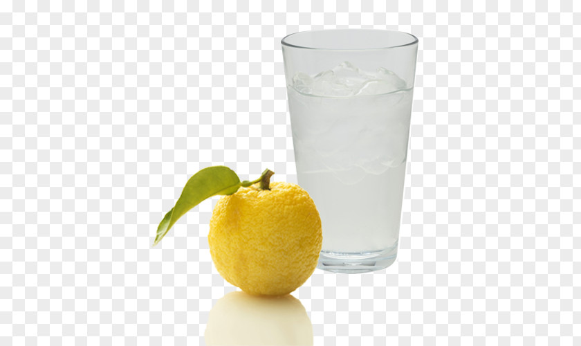 Silk Road Lemon Juice Limeade Fermentation Starter Vodka Tonic Lemonade PNG