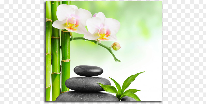 Spa Background Desktop Wallpaper Light Thai Massage Stone PNG