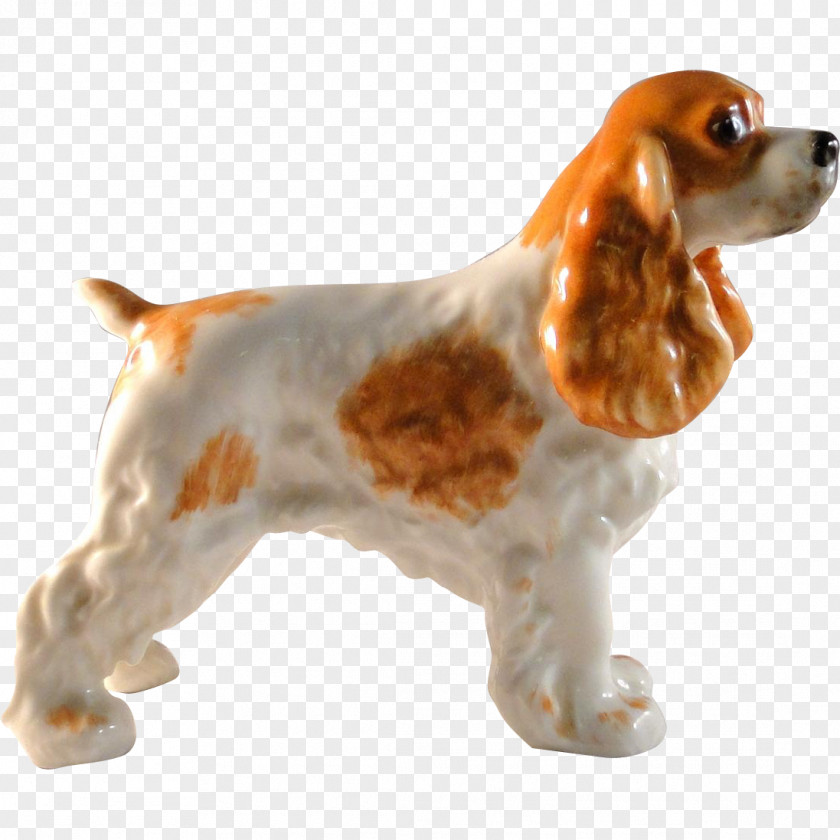 Cocker English Spaniel Cavalier King Charles Springer PNG