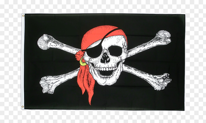 Flag Jolly Roger Skull And Crossbones Bones Human Symbolism PNG