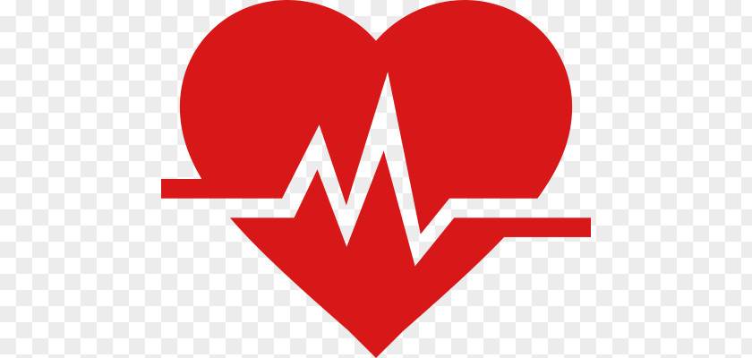 Heart Rate Pulse Electrocardiography PNG