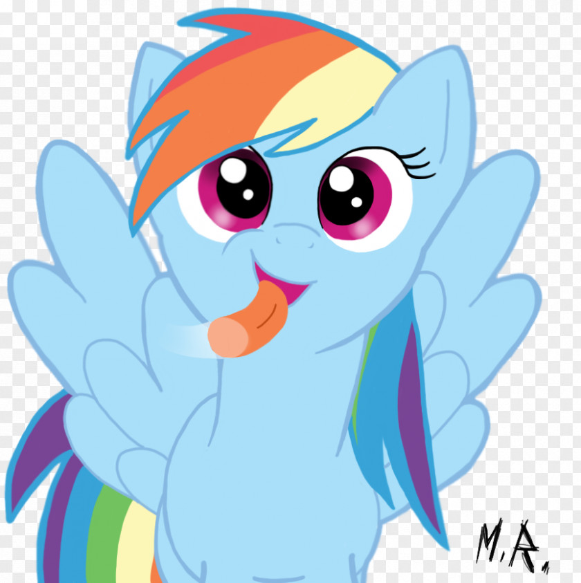 Rainbow Dash My Little Pony: Friendship Is Magic Fandom Canterlot PNG