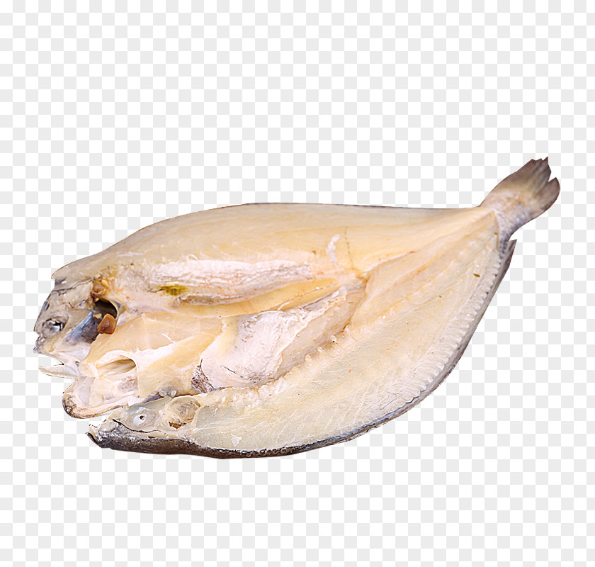A Cut Of Fish Dried And Salted Cod Stockfish Fishing PNG