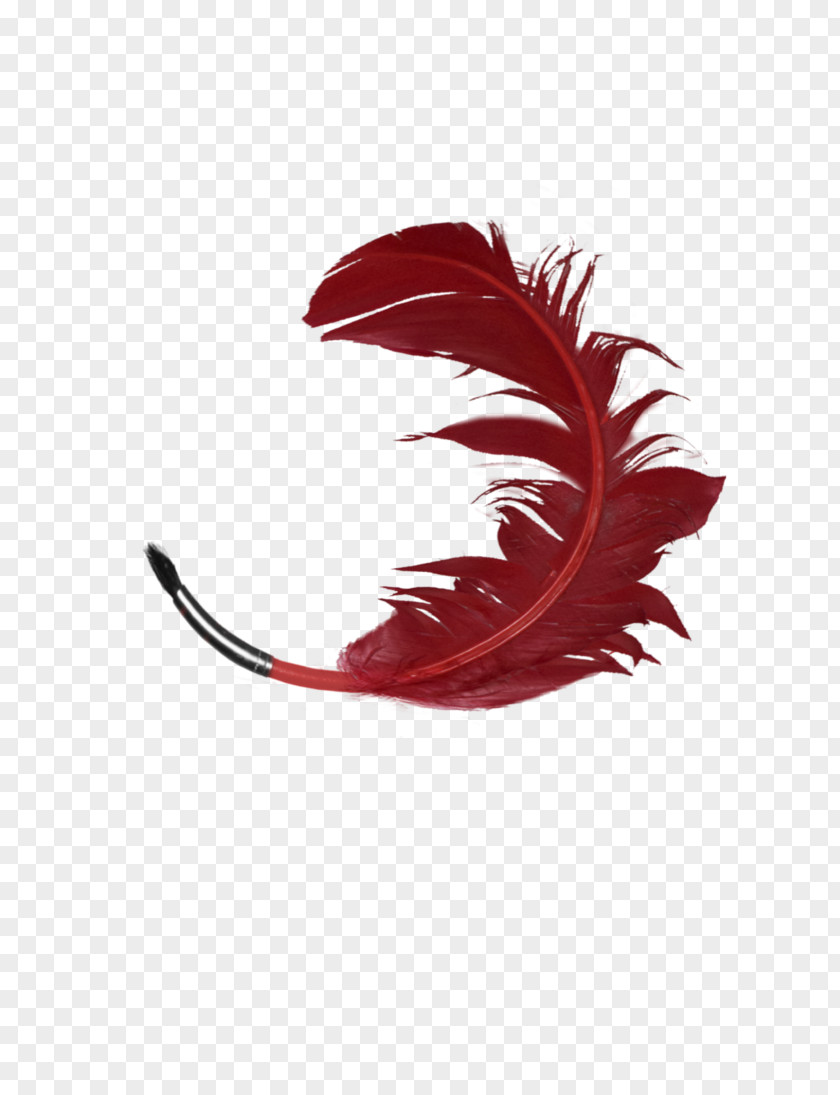 Appliances Illustration Eyelash Feather RED.M PNG