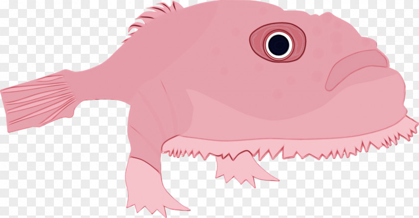 Cartoon Fish Science Biology PNG