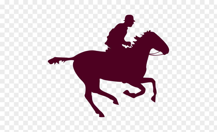 Horse Equestrian PNG