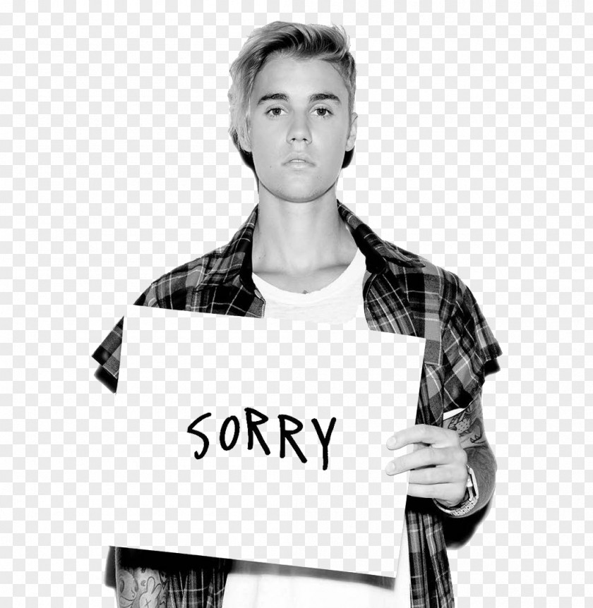 Justin Bieber What Do You Mean? YouTube Music Producer PNG Producer, sorry clipart PNG