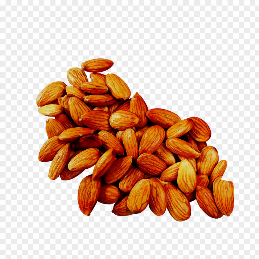 Peanut Dried Fruit Commodity PNG