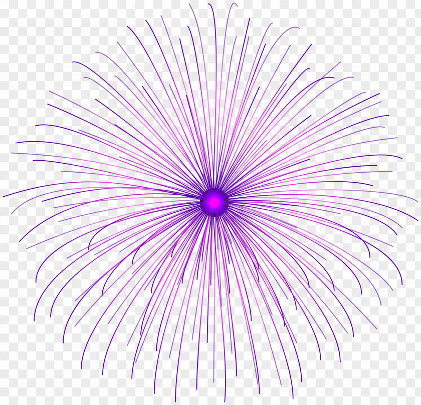 Purple Firework Circle Clip Art Adobe Fireworks PNG