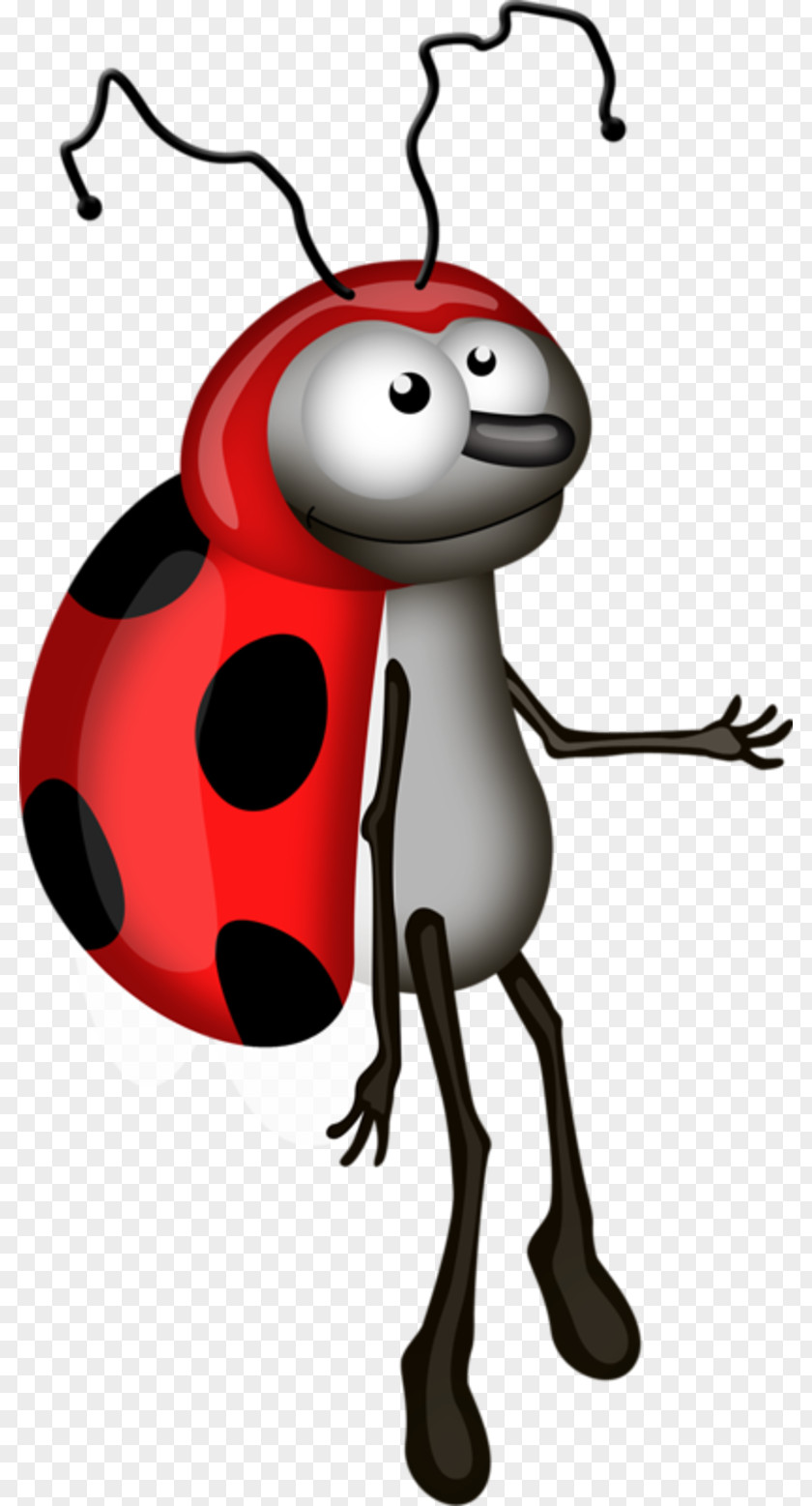 Beetle Ladybird Clip Art PNG