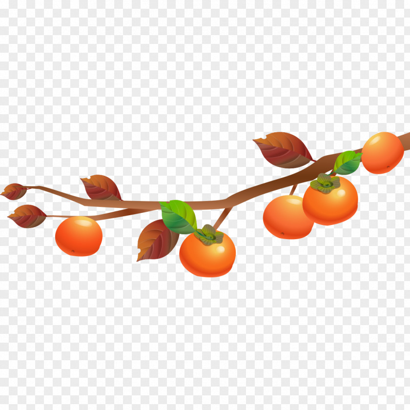 Cartoon Tomatoes Tomato Vegetable PNG