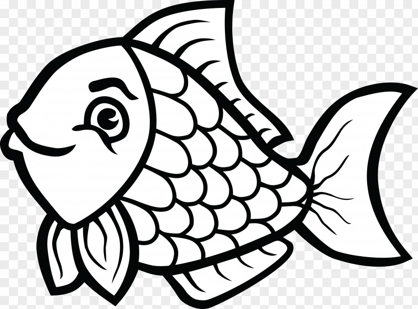 Fish Coloring Book Whitefish Black And White Clip Art PNG