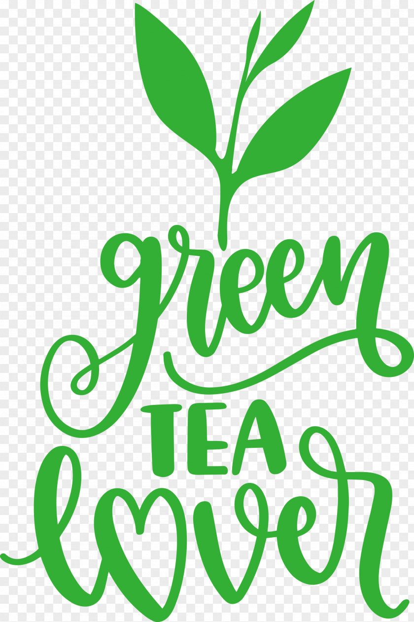 Green Tea Lover PNG