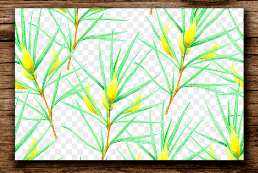 Hand-painted Floral Motifs Frame Plant Euclidean Vector PNG