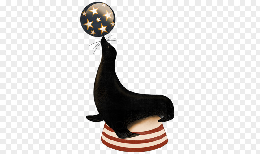 Sea Lion Creative Performance Circus Clip Art PNG