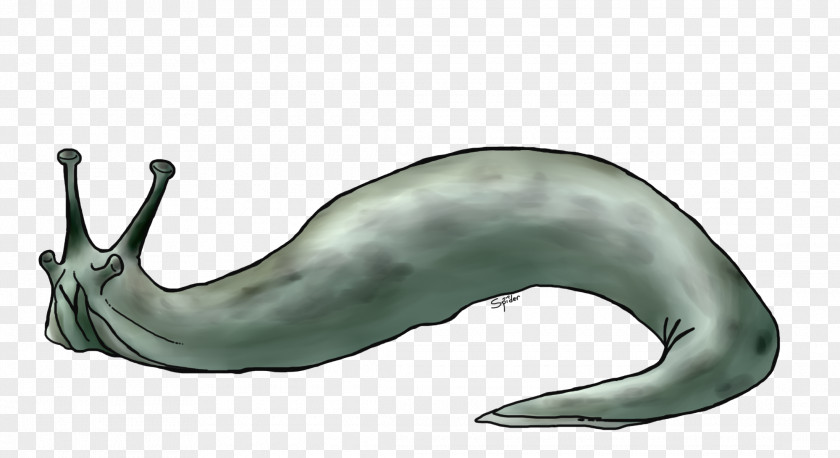 Tail Drawing Marine Mammal Blue Whale Animal Figure PNG
