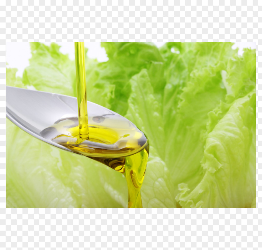 Oil Lettuce Food Health Salad PNG