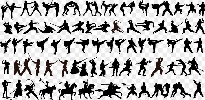 Silhouette Of Martial Arts Combat PNG