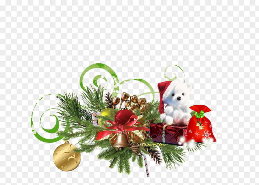 Absinto Ornament New Year Christmas Day Holiday Image PNG
