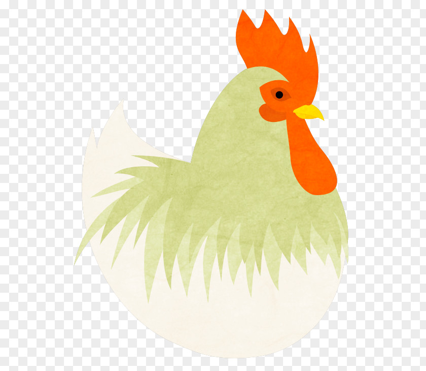 Bird Rooster Beak Clip Art PNG