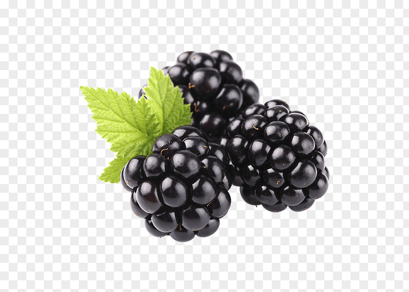 Blackberry Fruit Shutterstock Food PNG