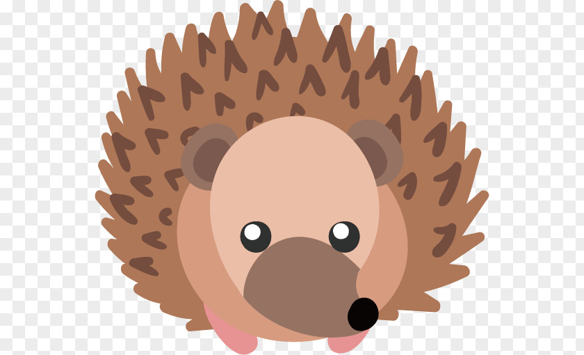 Cartoon Hedgehog PNG