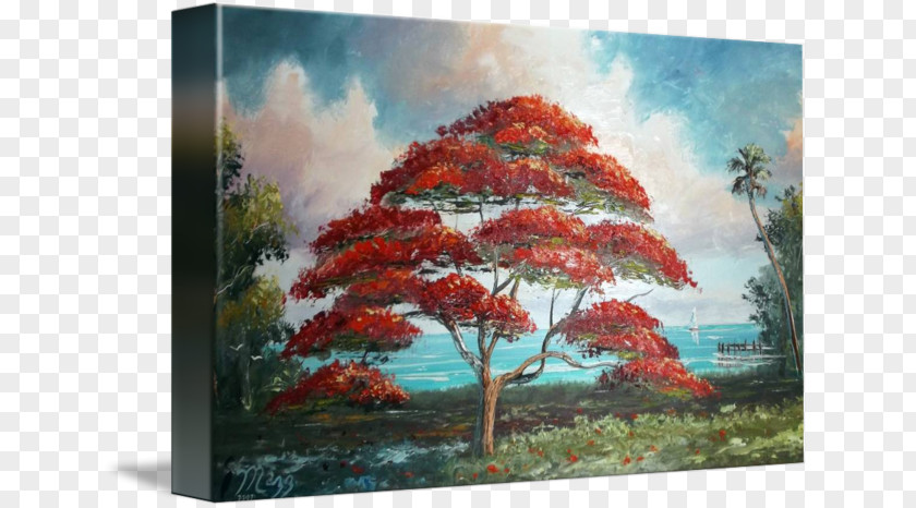 Royal Poinciana Painting Tree Art Current Gallery PNG