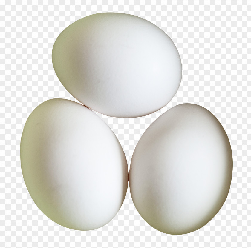 Eggs Egg White PNG