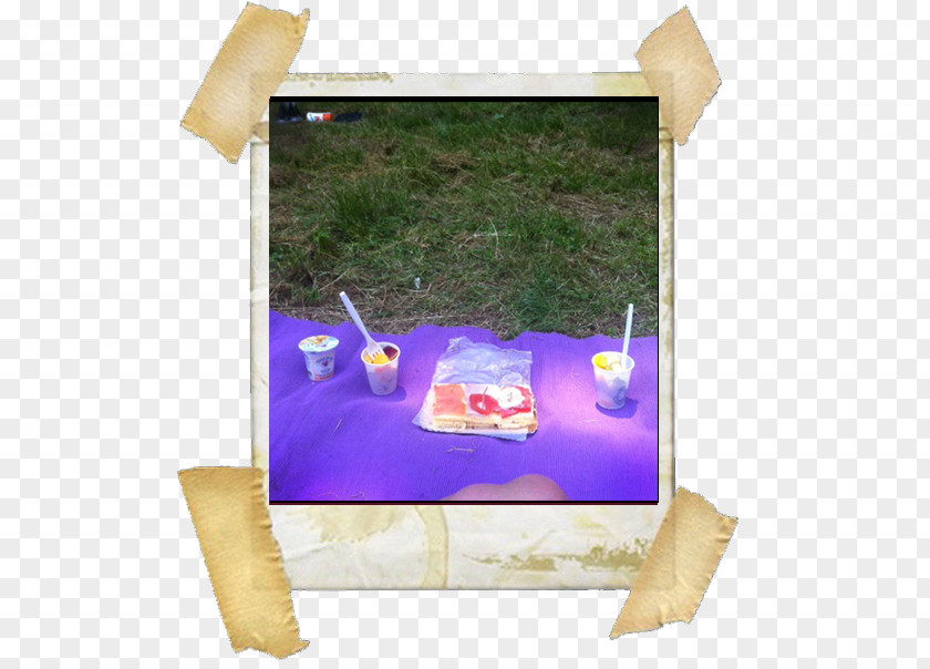 Picnic Stock Photography Royalty-free Polaroid Corporation PNG