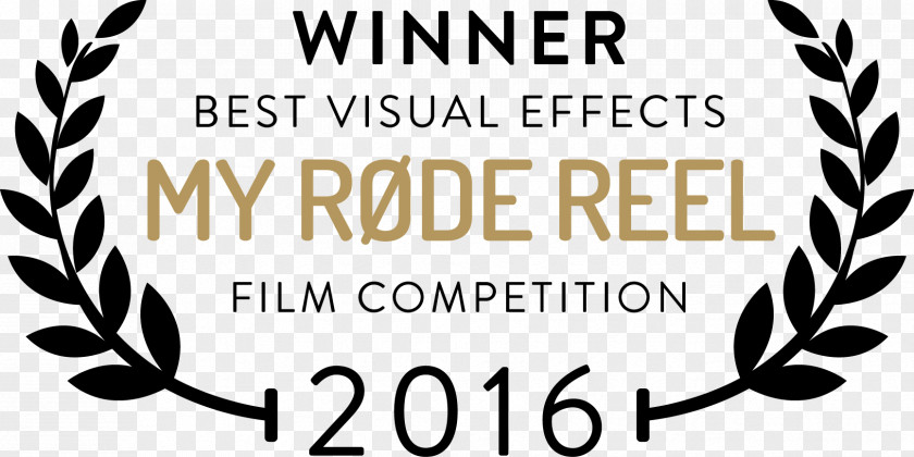Visual Effect Film Festival Filmmaker Director Indie PNG