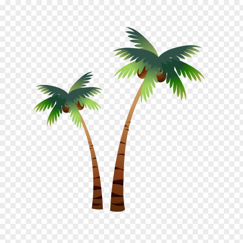 Cartoon Coconut Trees PNG coconut trees clipart PNG