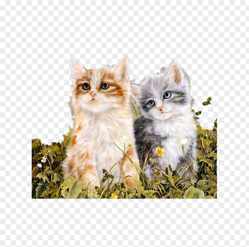 Cat In Flowers Oil Painting Reproduction Kitten Paint By Number PNG