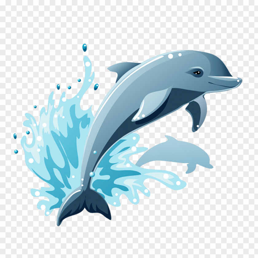 Dolphin Cartoon Drawing Clip Art PNG