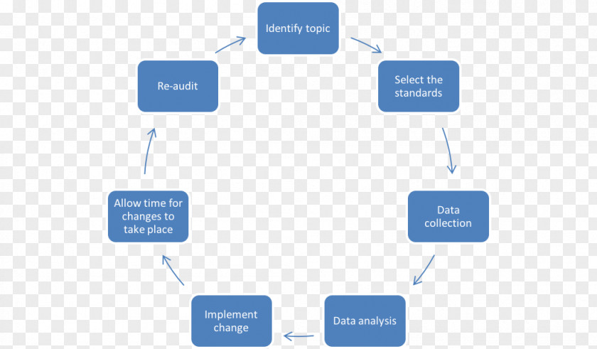 Organization Implementation Plan Project Audit PNG