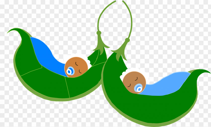 Pea Bean Pod Clip Art PNG