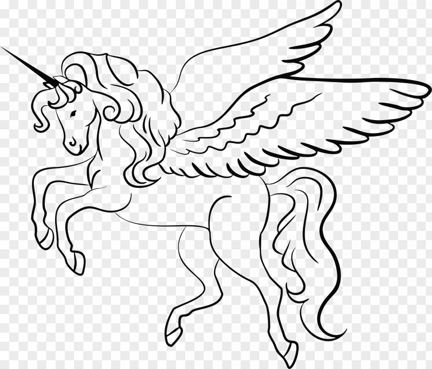 Unicorn Line Art Drawing Clip PNG