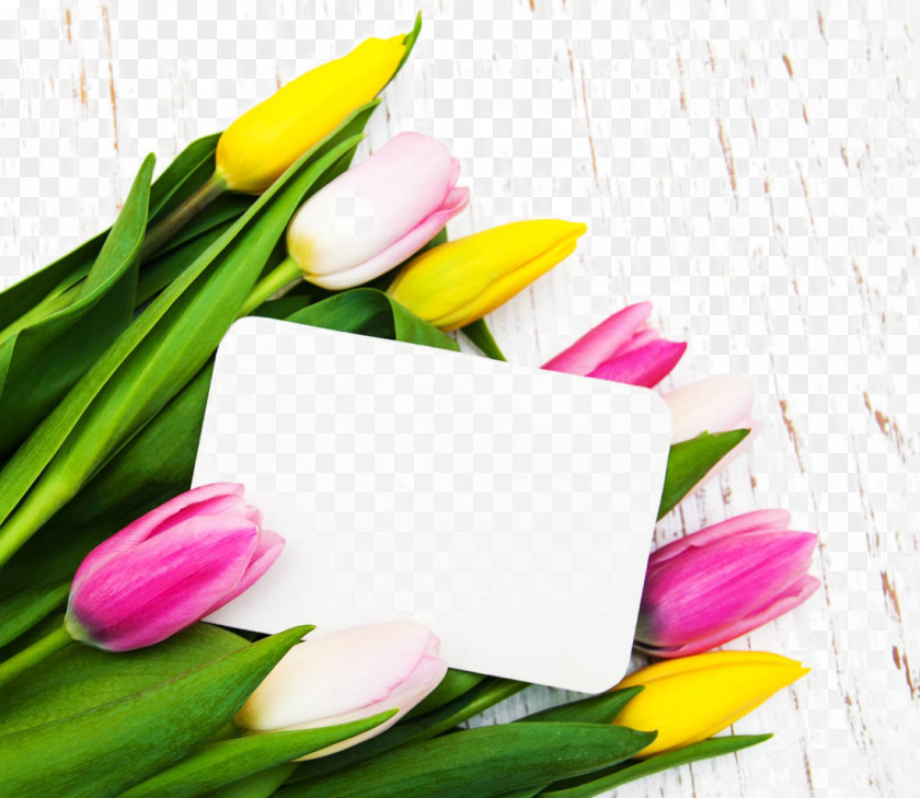 Beautiful Tulips And A Card Tulip Flower Poster PNG