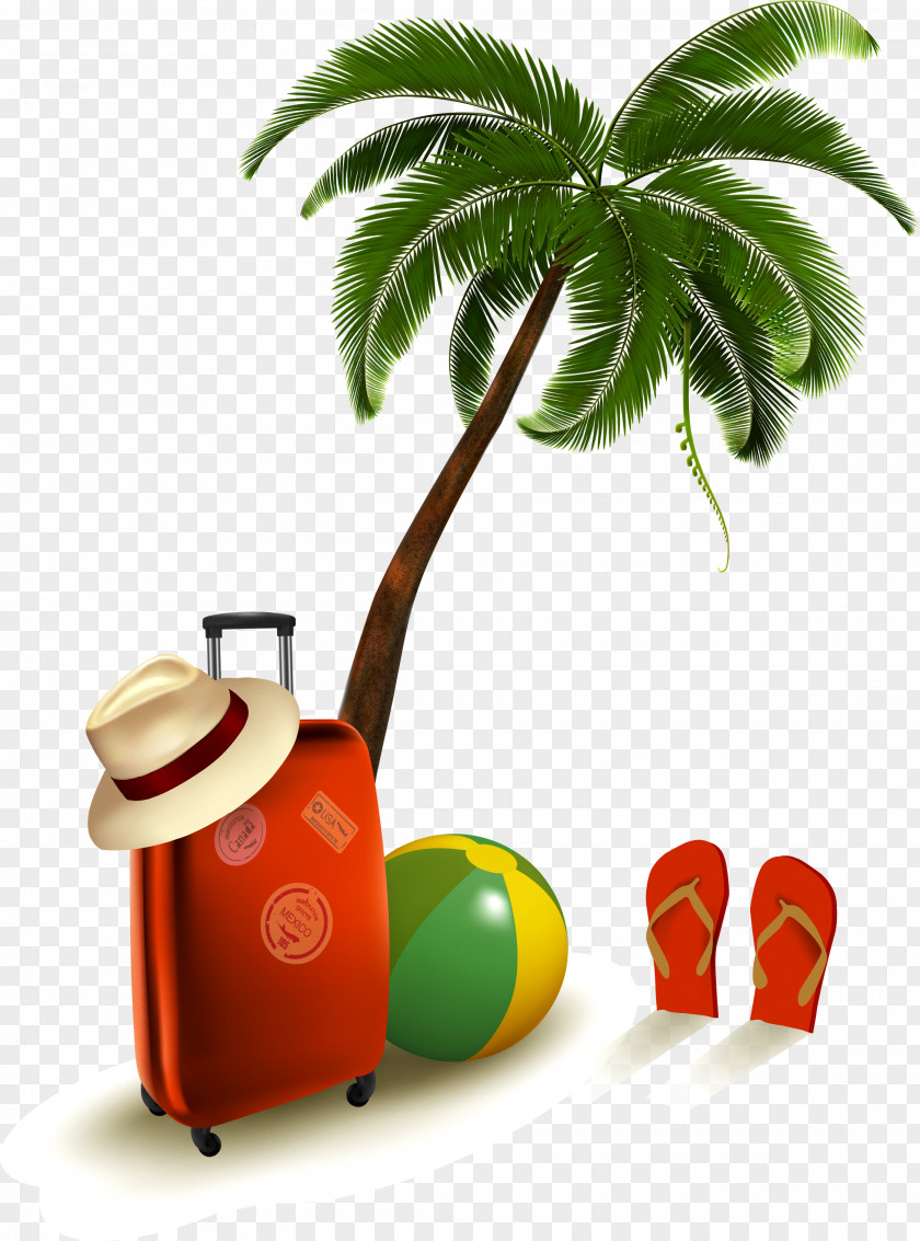 Coco Luggage Travel Graphic Design PNG