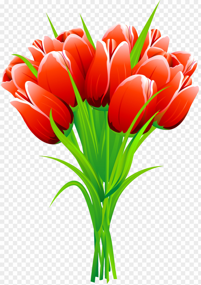Gastrointestinal Tulip Flower Bouquet Clip Art PNG