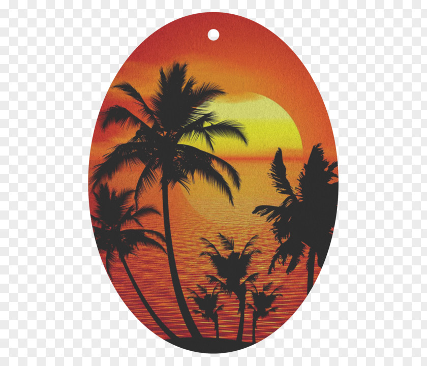 Palm Tree Sunrise Silhouette PNG