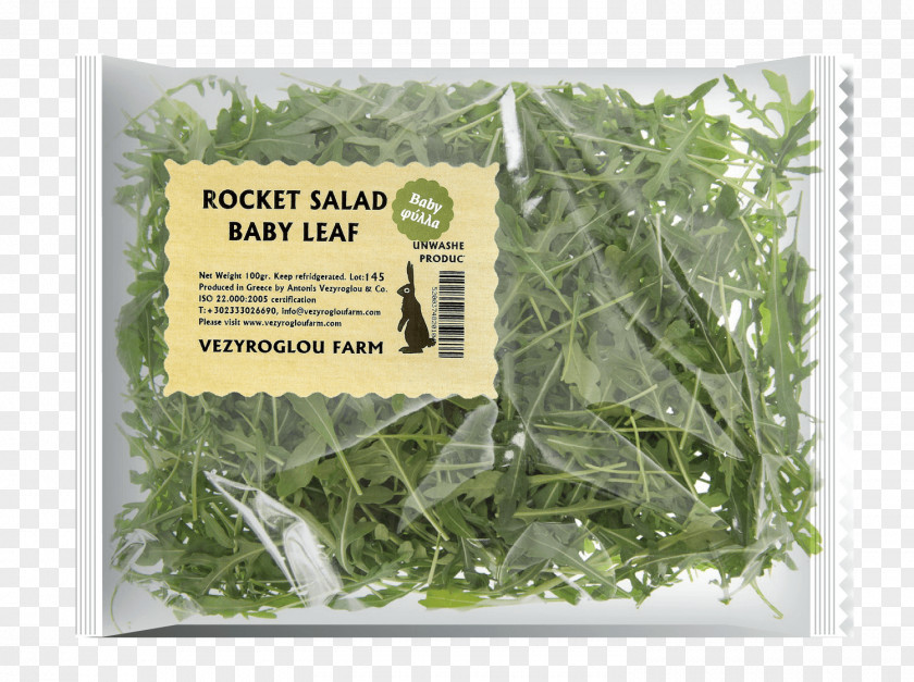 Salad Leaf Vegetable Herbalism PNG