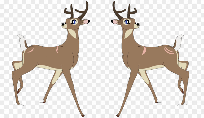 White Deer White-tailed Reindeer Faline Clip Art PNG