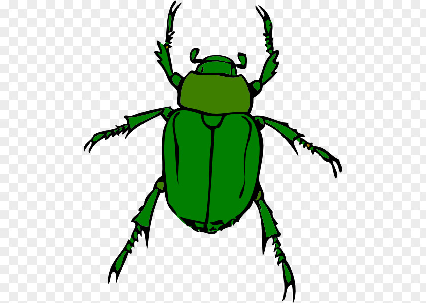 Beetle Cliparts Free Content Clip Art PNG
