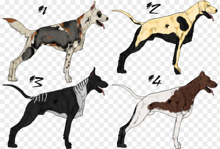 Dog Breed Italian Greyhound Great Dane Art PNG